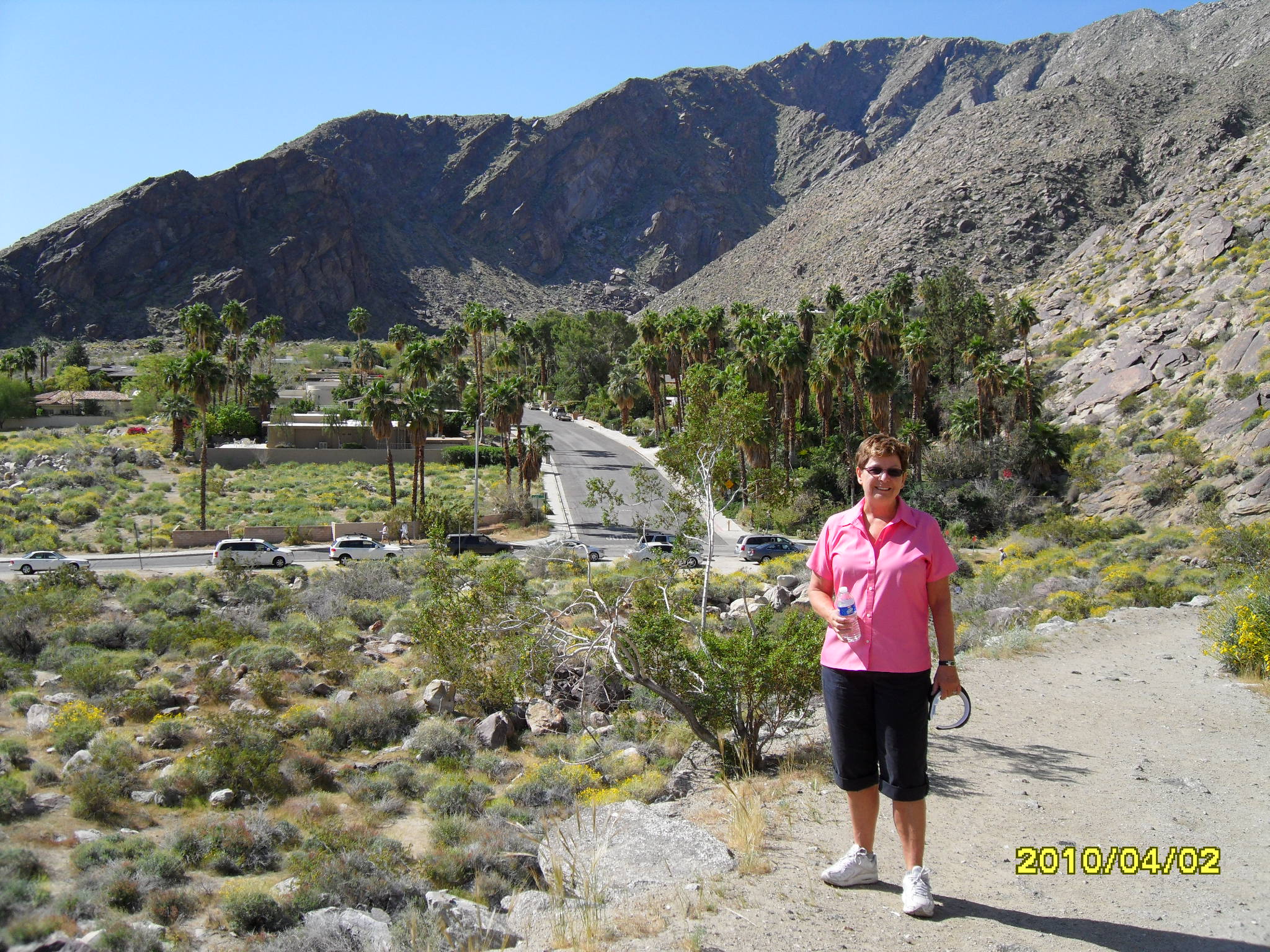 Palm Springs desert